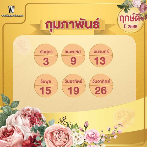 My Image 27