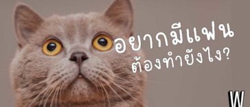 อยากมีแฟน ต้องทำยังไง? 15 วิธีหาแฟน หักคานทองแบบถาวร!