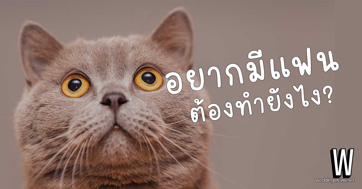 อยากมีแฟน ต้องทำยังไง? 15 วิธีหาแฟน หักคานทองแบบถาวร!