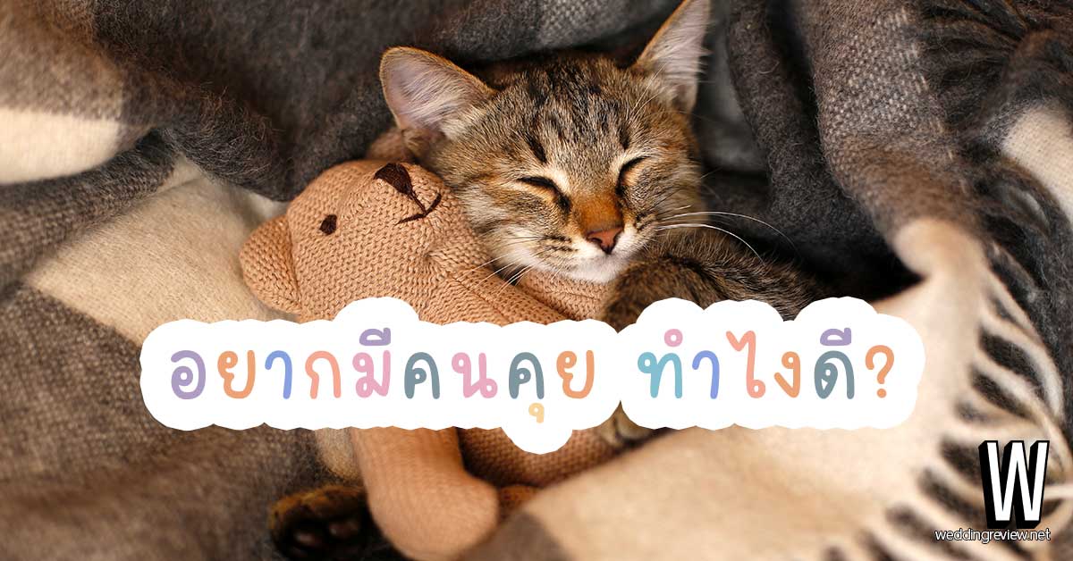 ‘How to’ หาคนคุย ต้องทำยังไง? โสดมานาน อยากมีแฟน อยากแต่งงาน