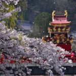 พยากรณ์ซากุระบาน ญี่ปุ่น 2023 - รวมทุกสิ่งที่ควรรู้