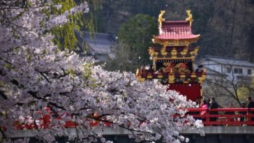 พยากรณ์ซากุระบาน ญี่ปุ่น 2023 - รวมทุกสิ่งที่ควรรู้