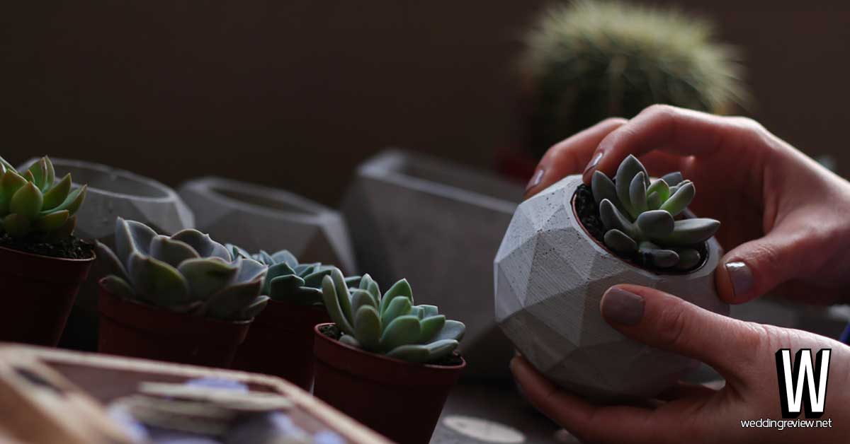 คู่มือ จัดงานแต่งเล็กๆ ในครอบครัว ให้เพอร์เฟกต์