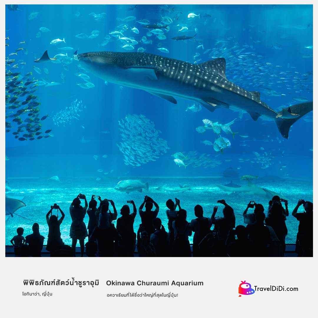 50 ที่เที่ยวญี่ปุ่น อัปเดตใหม่ล่าสุด – ไปเที่ยวญี่ปุ่นห้ามพลาด!