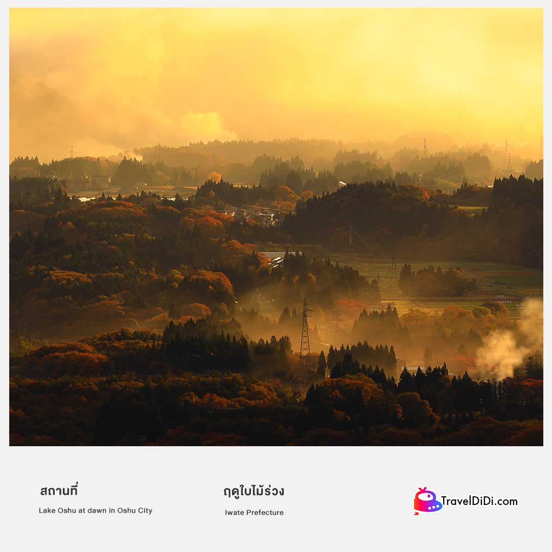 50 ที่เที่ยวญี่ปุ่น อัปเดตใหม่ล่าสุด – ไปเที่ยวญี่ปุ่นห้ามพลาด!