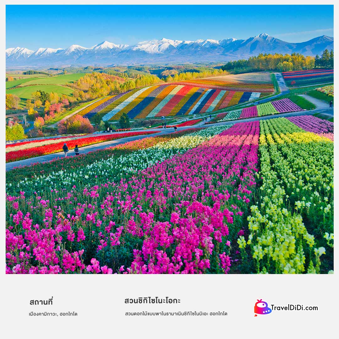 50 ที่เที่ยวญี่ปุ่น อัปเดตใหม่ล่าสุด – ไปเที่ยวญี่ปุ่นห้ามพลาด!