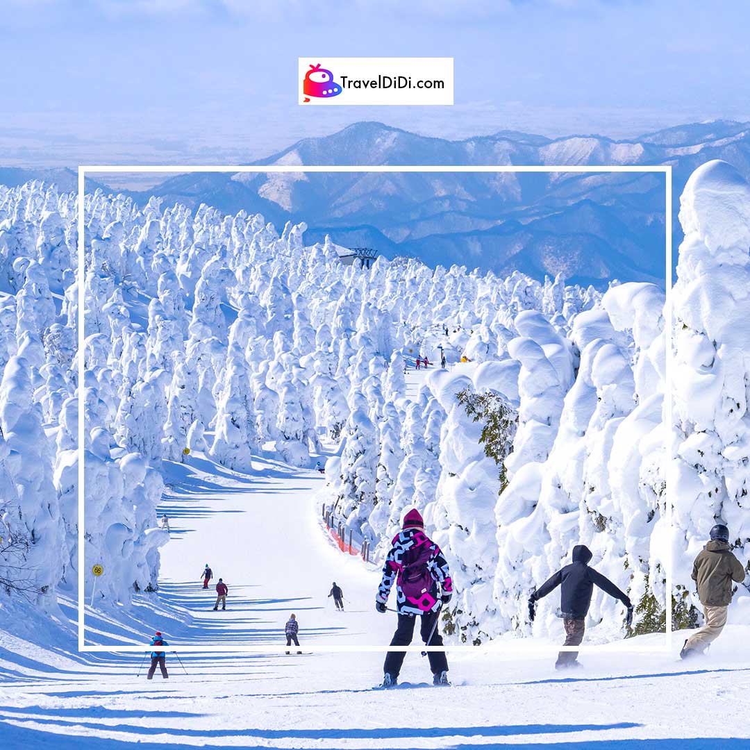 50 ที่เที่ยวญี่ปุ่น อัปเดตใหม่ล่าสุด – ไปเที่ยวญี่ปุ่นห้ามพลาด!