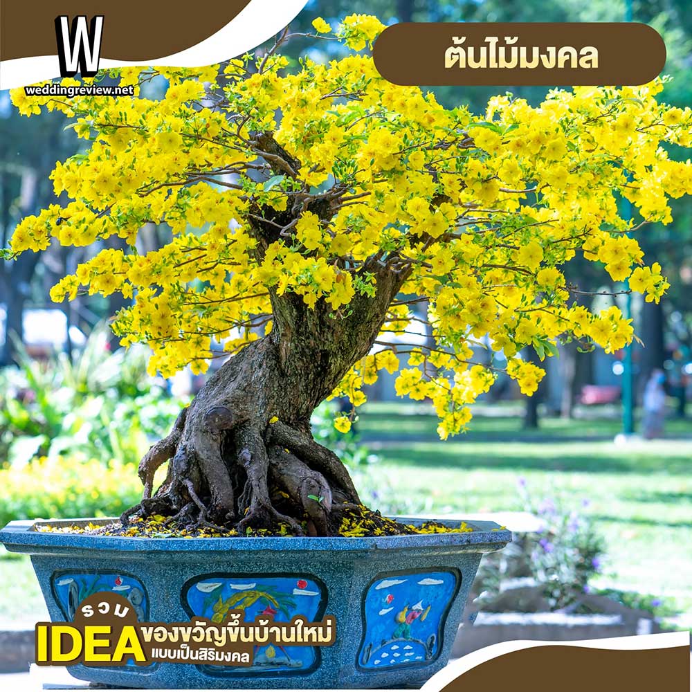 “Idea ของขวัญขึ้นบ้านใหม่”…แบบเป็นสิริมงคล