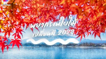 พยากรณ์ ใบไม้เปลี่ยนสี ญี่ปุ่น 2023 – มาดูกันว่าเดือนไหน