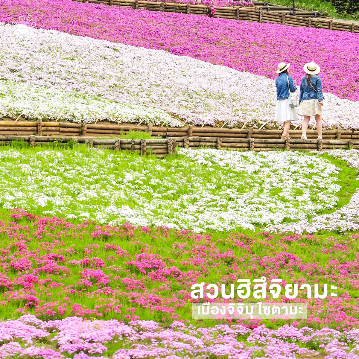 10 ที่เที่ยวยอดฮิตใกล้โตเกียว เดินทางง่าย เอาใจสายชิลล์