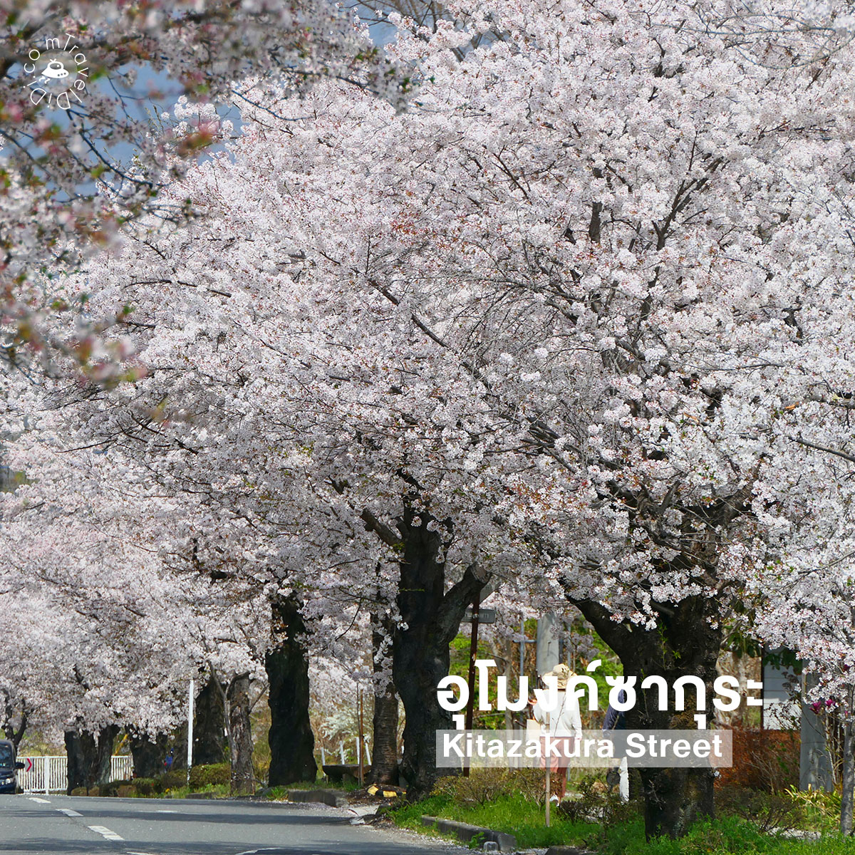 10 ที่เที่ยวยอดฮิตใกล้โตเกียว เดินทางง่าย เอาใจสายชิลล์