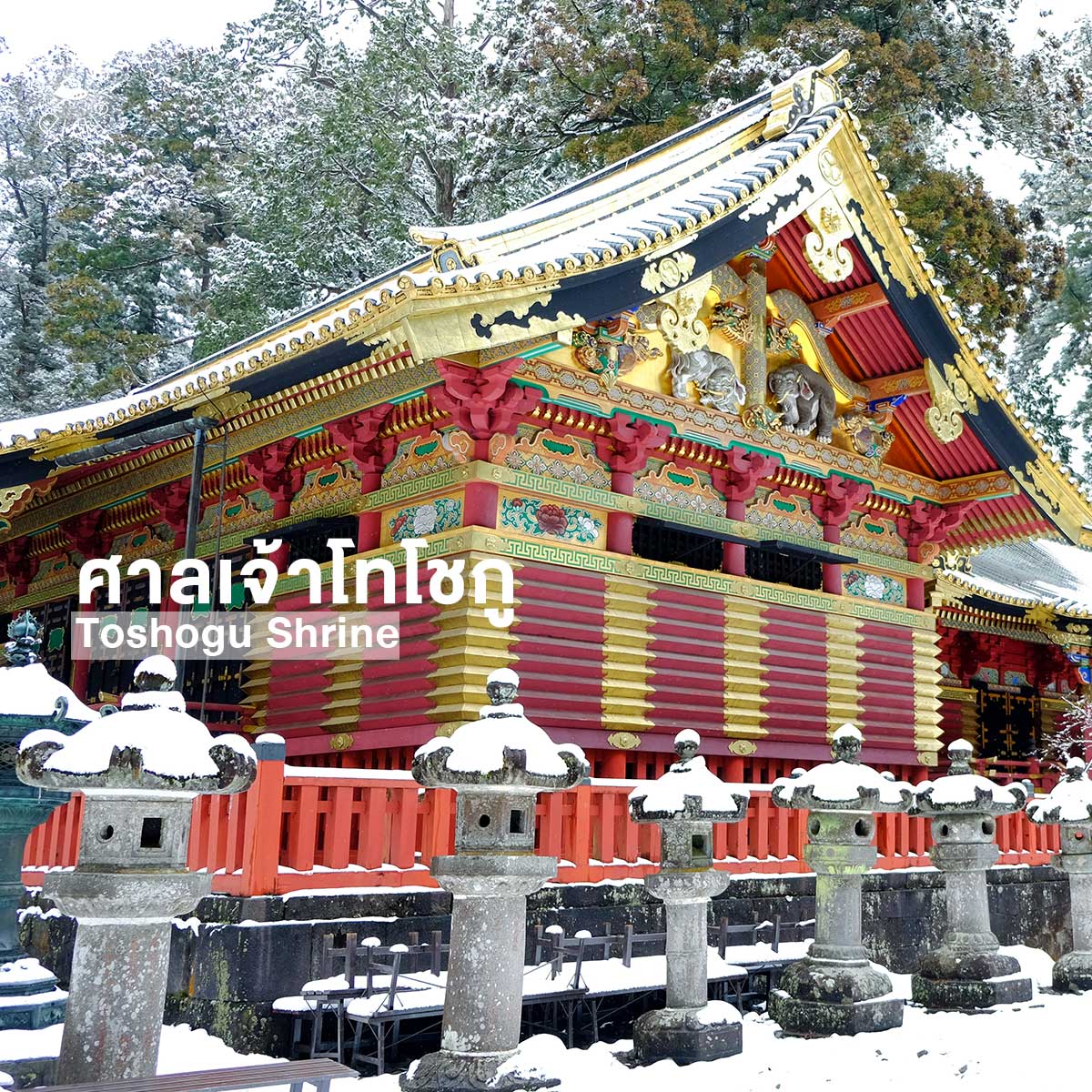 10 ที่เที่ยวยอดฮิตใกล้โตเกียว เดินทางง่าย เอาใจสายชิลล์