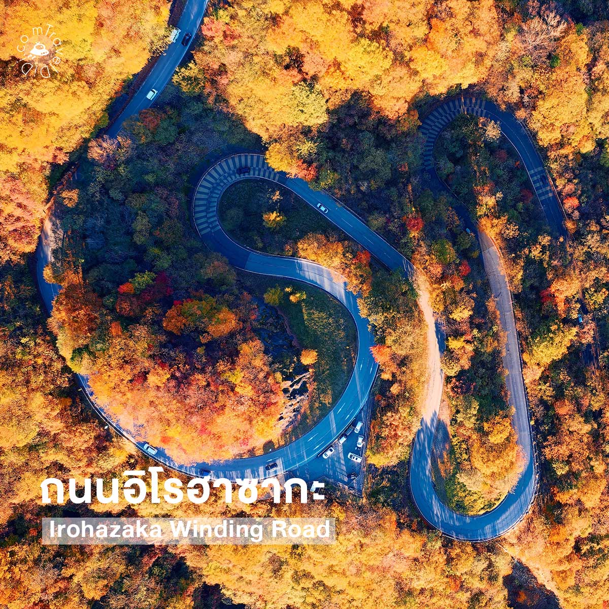 10 ที่เที่ยวยอดฮิตใกล้โตเกียว เดินทางง่าย เอาใจสายชิลล์