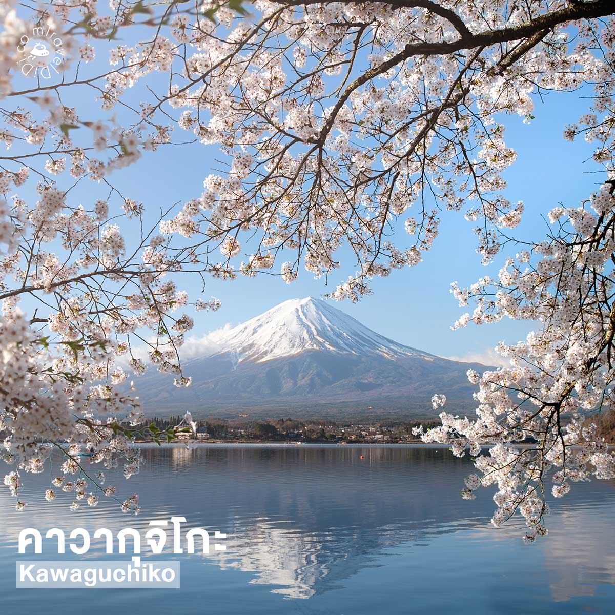 10 ที่เที่ยวยอดฮิตใกล้โตเกียว เดินทางง่าย เอาใจสายชิลล์