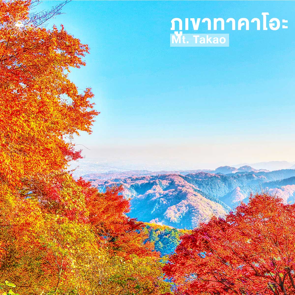 10 ที่เที่ยวยอดฮิตใกล้โตเกียว เดินทางง่าย เอาใจสายชิลล์