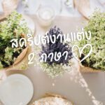 สคริปต์พิธีกรงานแต่ง ไม่ได้ยากอย่างที่คิด (ตัวอย่าง 2 ภาษา)