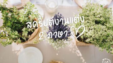 สคริปต์พิธีกรงานแต่ง ไม่ได้ยากอย่างที่คิด (ตัวอย่าง 2 ภาษา)