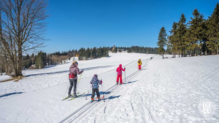 5 วิธีแก้ ลูกไม่ชอบออกกำลังกาย ไม่ชอบเล่นกีฬา ติดหน้าจอ จะทำอย่างไรดี