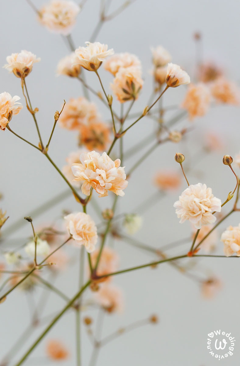 30 ไอเดีย 'ธีมงานแต่ง มินิมอล' เก๋ เรียบง่าย สง่างาม