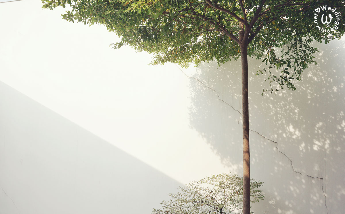 30 ไอเดีย 'ธีมงานแต่ง มินิมอล' เก๋ เรียบง่าย สง่างาม