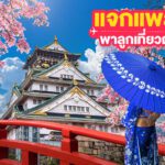 แจกแพลนเที่ยวญี่ปุ่น 4 แพลน! - พาลูกเที่ยวญี่ปุ่น ที่ไหนดี มาดูกันเลย